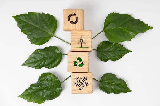 Environmentally Friendly Solutions